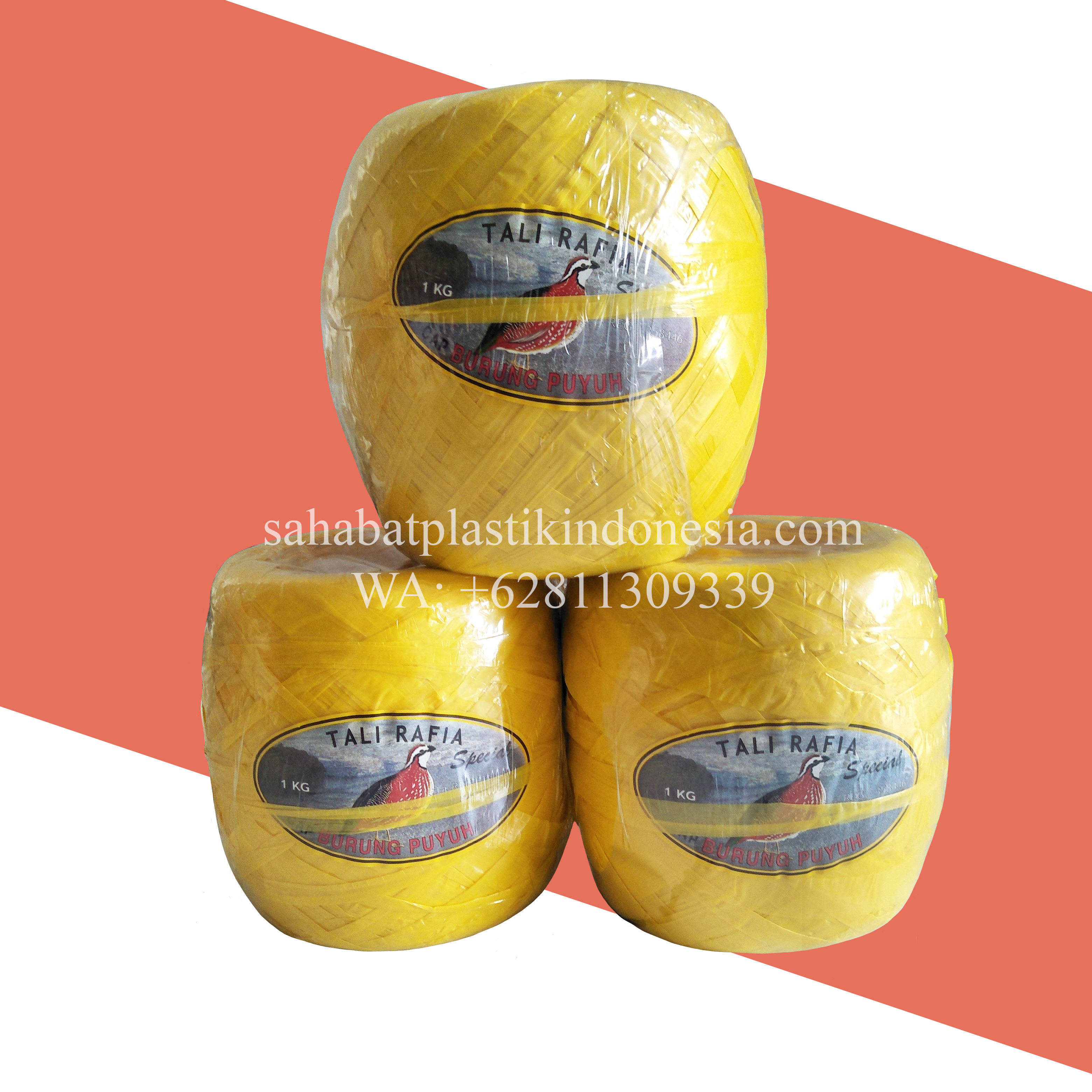 Rafia Puyuh Kuning Spesial